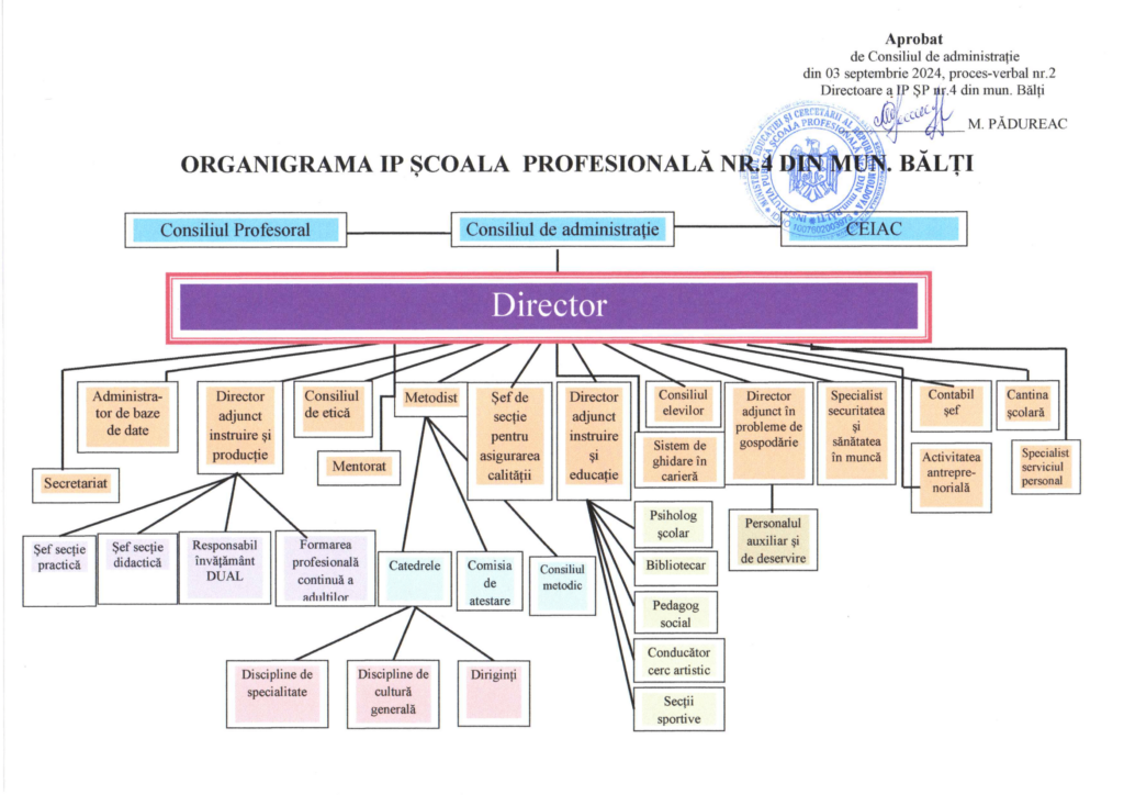 Organigrama 2024-2025-1